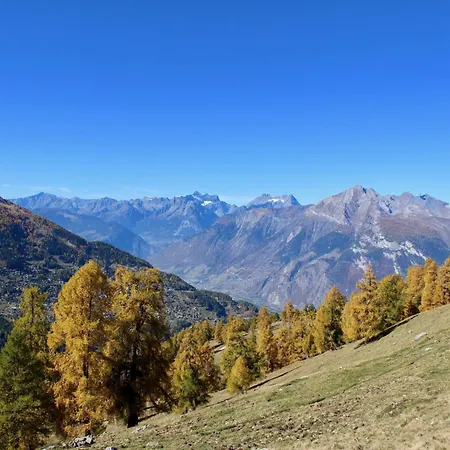 On Slopes Of Prarion * Nendaz