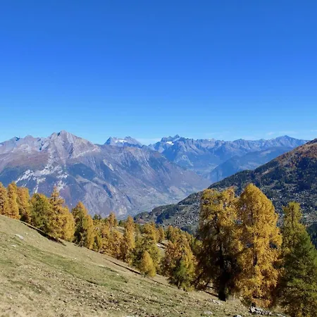 On Slopes Of Prarion *